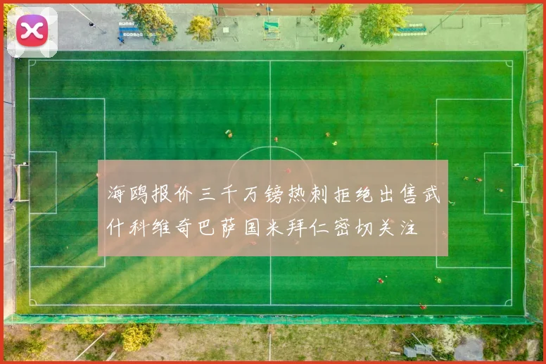 海鸥报价三千万镑热刺拒绝出售武什科维奇巴萨国米拜仁密切关注